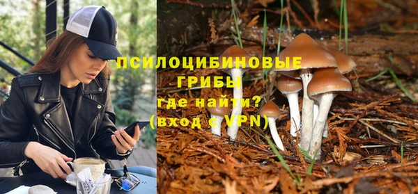 герыч Алексин