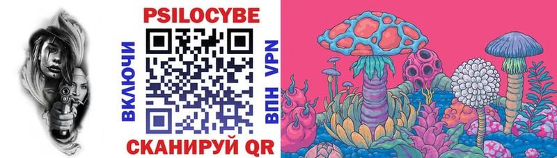 где найти наркотики Златоуст Псилоцибиновые грибы Cubensis