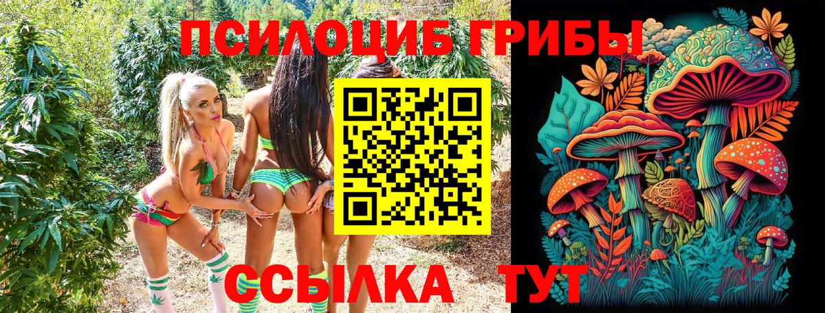 сколько стоит  Псилоцибиновые грибы GOLDEN TEACHER  Галлюциногенные грибы Cubensis  Вход с VPN  Златоуст 